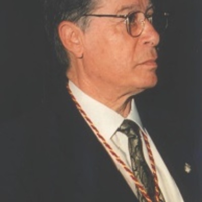 Sr. D. Emigdio de Moya Juan 
