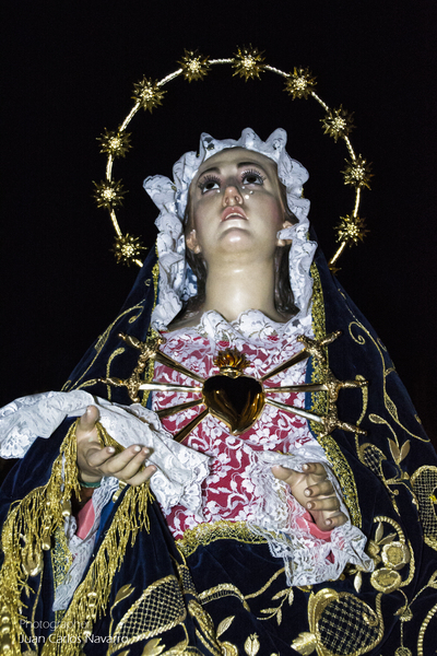 La Junta de Cofradías de Semana Santa de Albacete, convoca el  